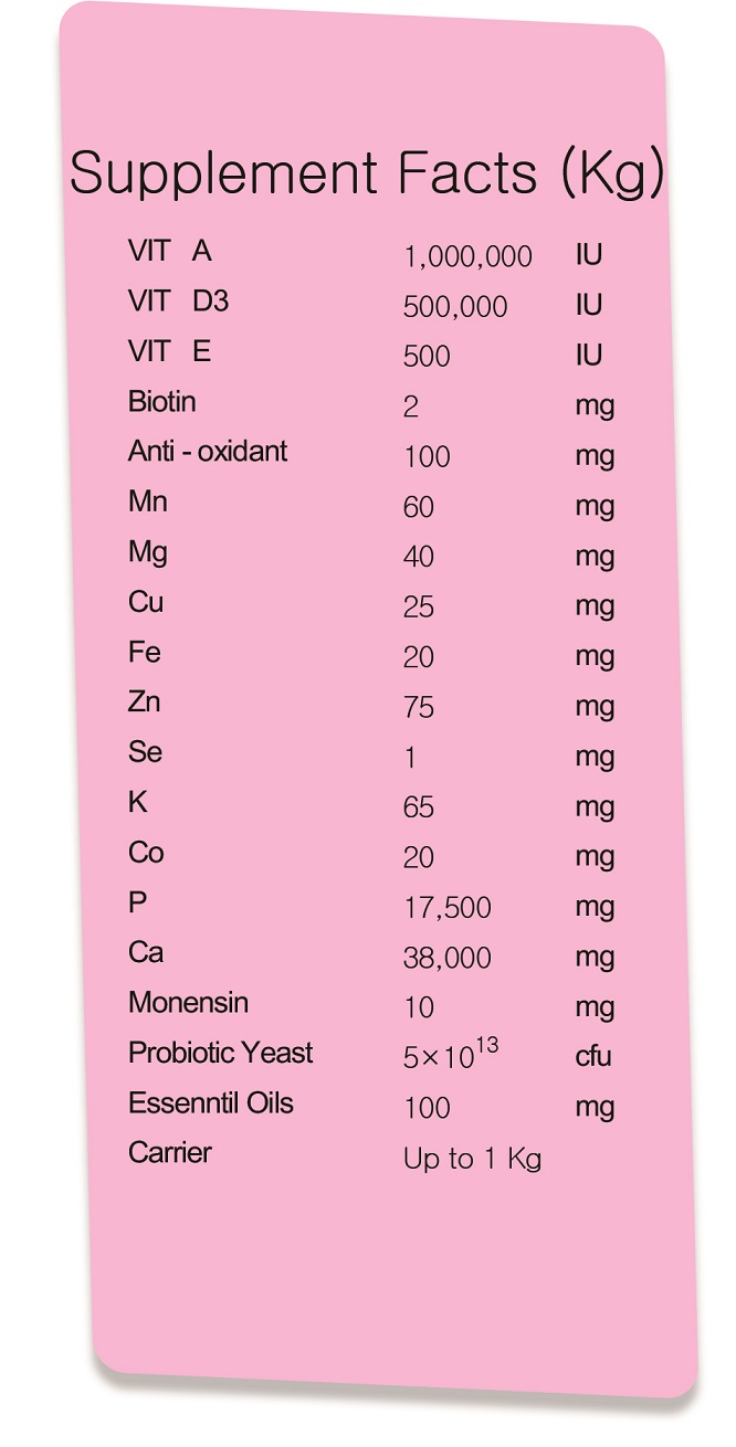 top beef analysis yazd mokamel