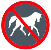 horseicon